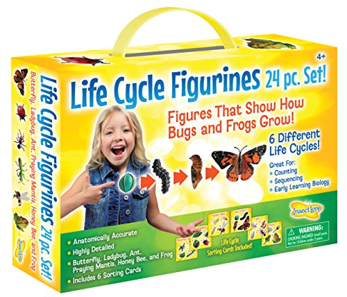 Book Cover Insect Lore Life Cycle Figurines 24 Pc Set, Brown/a