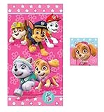 Paw Patrol Skye Girl Bath Towel Washcloth 2 Piece