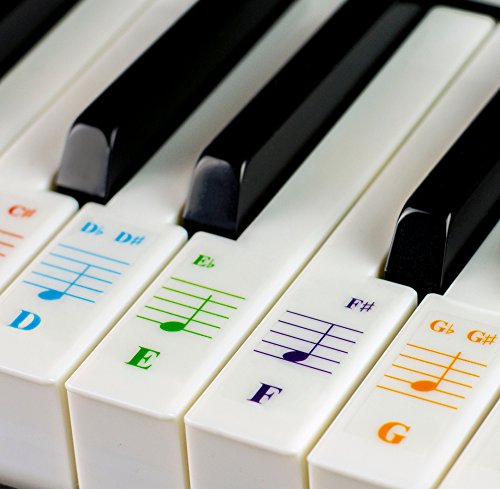 Book Cover Color Piano Stickers for 49/61/ 76/88 Key Keyboards - Transparent and Removable with Free Piano Ebook: Made in USA