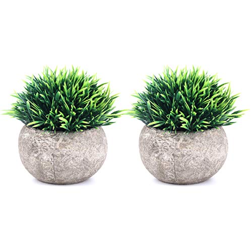 Book Cover The Bloom Times 2 Pcs Fake Plants for Bathroom/Home Office Decor, Small Artificial Faux Greenery for House Decorations (Potted Plants)