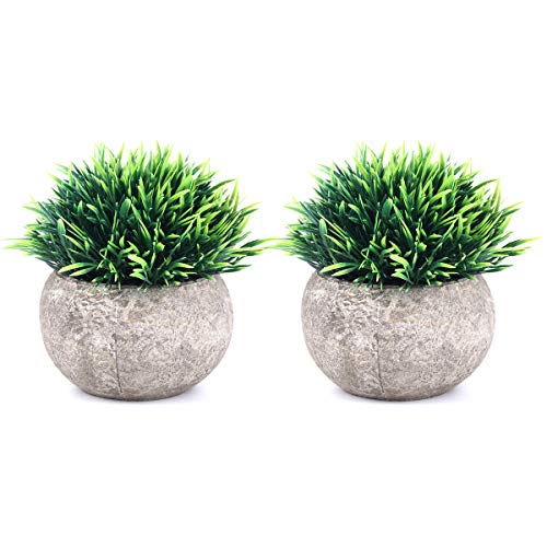 The Bloom Times 2 Pcs Fake Plants for Bathroom/Home Office Decor, Small Artificial Faux Greenery for House Decorations (Potted Plants)