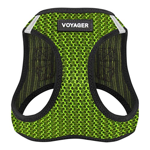Voyager Step-in Air Dog Harness - All Weather Mesh Step in Vest Harness for Small and Medium Dogs by Best Pet Supplies - Lime Green (2-Tone), L
