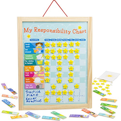 Book Cover Imagination Generation My Responsibility Chart, Magnetic Dry Erase Wooden Chore Chart with Storage Bag, 24 Goals and 56 Reward Stars