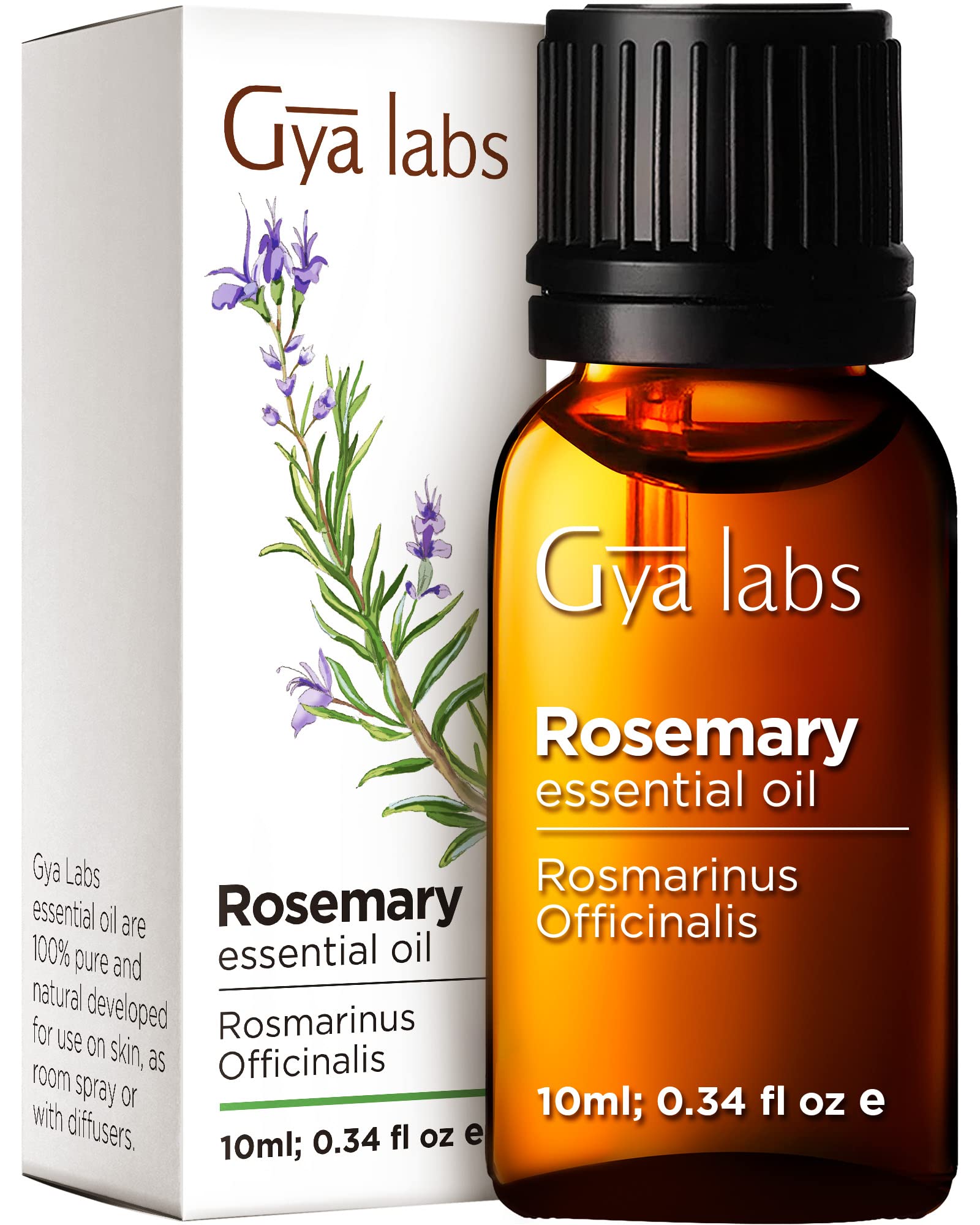 Gya Labs Rosemary Oil for Hair & Scalp (0.34 fl oz) - Natural Rosemary Essential Oils for Hair, Skin & Diffuser Rosemary 0.34 Fl Oz (Pack of 1)