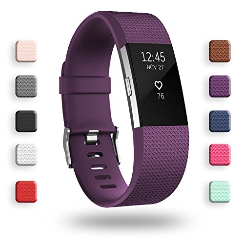 Book Cover POY Replacement Bands Compatible for Fitbit Charge 2, Classic Edition Adjustable Sport Wristbands, Small Plum