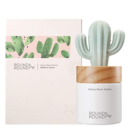 Book Cover ROUND A'ROUND] Cactus Room Scents 100ml / Gypsum Reed Fragrance Diffuser Fragrant Homes, Rooms, Office, Bathroom, Living room (Billberry Cactus)