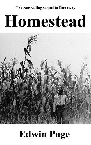 Homestead (Runaway Series Book 2)