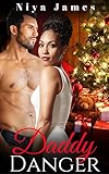 Daddy Danger: BWWM Christmas Romance
