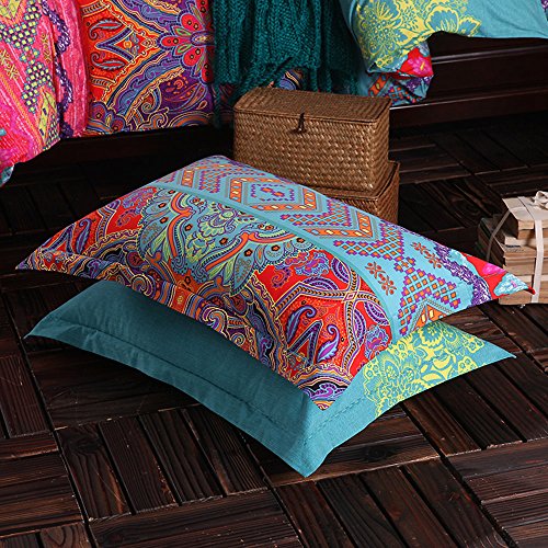 HNNSI 2 Pieces Exotic Striped Bohemia Pillow Shams,100% sanded Cotton Thick Boho Pillow Cases/Covers,19" x 29" (Style1)