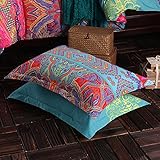 HNNSI Exotic Striped Bohemia Pillow Shams Queen Size 2 Pieces,100% Brushed Cotton Thick Boho Pillow Cases Bohemian Pillow Covers,19" x 29"