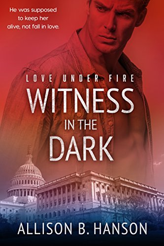 Book Cover Witness in the Dark (Love Under Fire Book 1)
