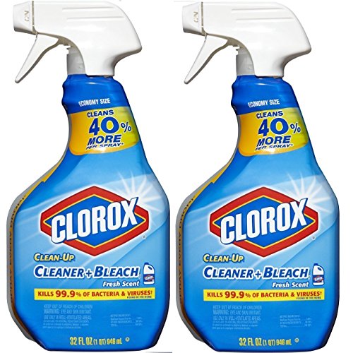 Book Cover Clorox 055500015290 Clean-Up Disinfectant Bleach Cleaner, Fresh Scent(Pack of 2)