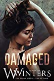 Damaged: Damaged Duet Book 1