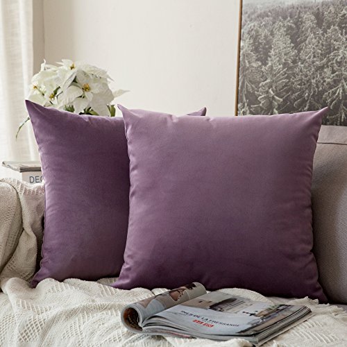 Book Cover MIULEE Pack of 2, Velvet Soft Solid Decorative Square Throw Pillow Covers Set Cushion Case for Sofa Bedroom Car 18 x 18 Inch 45 x 45 cm