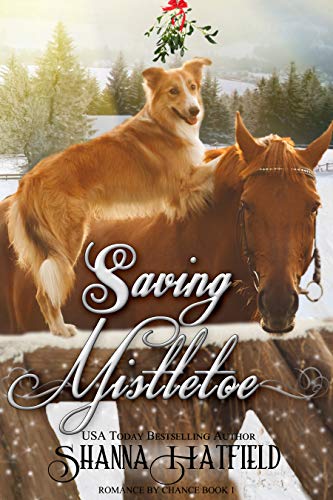 Saving Mistletoe (Romance by Chance Book 2)