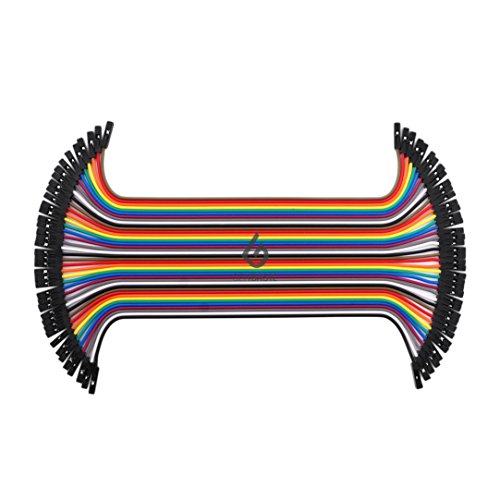 GenBasic 40 Piece Female to Female Jumper Wires (8 Inch)
