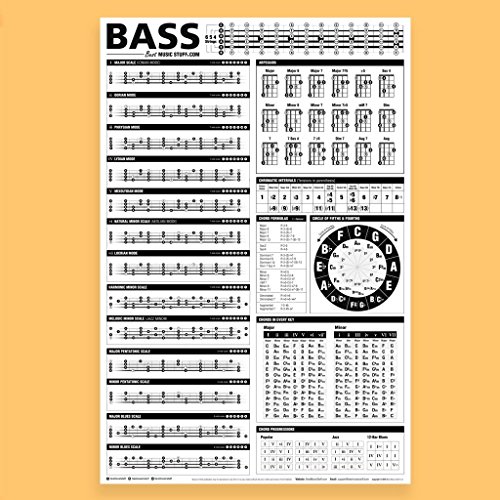 Book Cover Essential Bass Theory Chart Version 2 (UPDATED & REVISED) â€¢ Bass Reference Poster 24