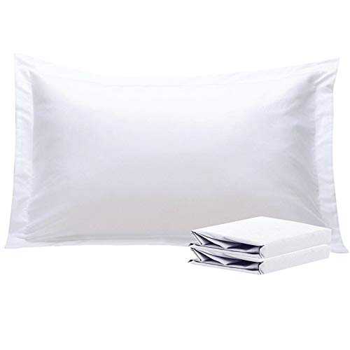 Book Cover NTBAY King Pillow Shams, Set of 2, 100% Brushed Microfiber, Soft and Cozy, Wrinkle, Fade, Stain Resistant (King, White)