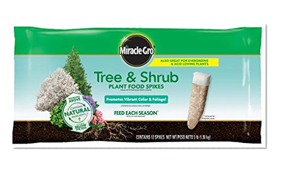 Miracle-Gro Tree & Shrub Fertilizer Spikes - 12 PK