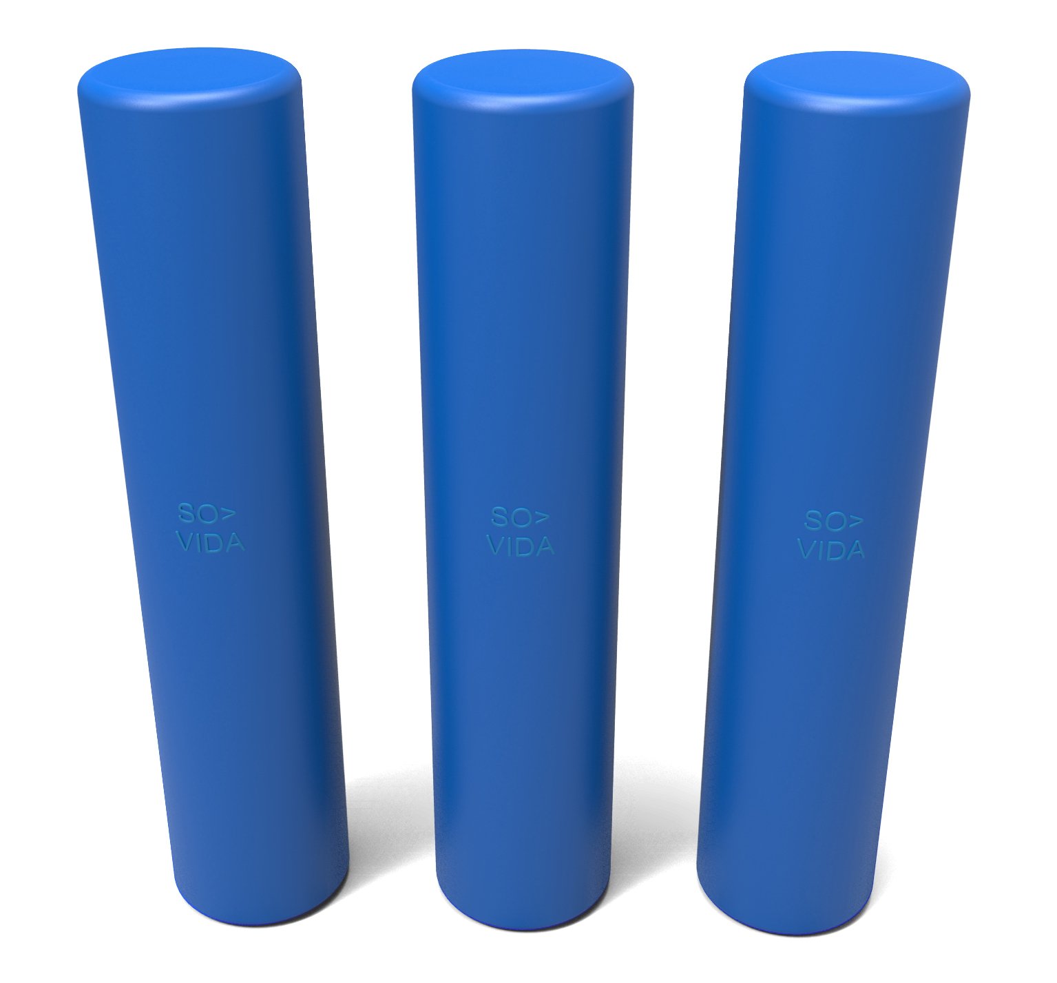 SO-VIDA Sous Vide Weights | Reduce Food Risk | Keep Bags Submerged | Better Performance vs Sous Vide Racks (3 Pack)
