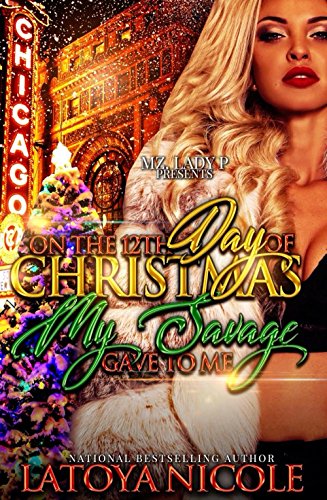 Book Cover On The 12th Day Of Christmas My Savage Gave To Me