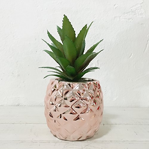 Book Cover Artificial Potted Succulent 7.8