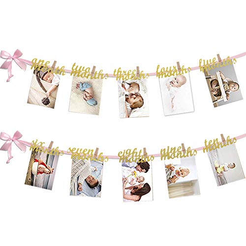 VGOODALL 12 Month Photo Banner, First Birthday Decoration, Milestone Photo Banner for First Birthday Party, Great (Pink and Gold)