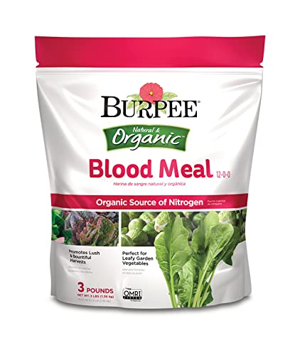 Book Cover Burpee Organic Blood Meal Fertilizer | Add to Potting Soil | Excellent Natural Source of Nitrogen | for Tomatoes, Spinach, Broccoli, Leafy Greens | 3 lb, 1-Pack