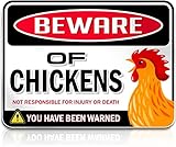 Bigtime Signs Beware of Chickens PVC 9"x12'' Decor Funny Warning Sign - Chicken Yard Decorations and Accessories - Gifts for Chicken Lovers - Chicken Coop Signs
