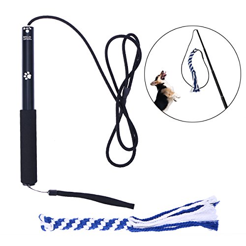 UEETEK Interactive Dog Toys Extendable Flirt Pole Funny Chasing Tail Teaser and Exerciser for Pets Size L