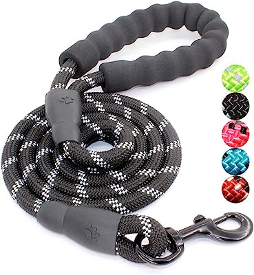 BAAPET 5 FT Strong Dog Leash with Comfortable Padded Handle and Highly Reflective Threads for Medium and Large Dogs (Black)