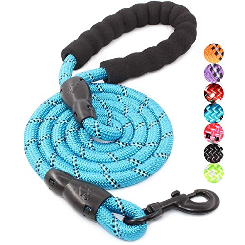 Book Cover BAAPET 2/4/5/6 FT Dog Leash with Comfortable Padded Handle and Highly Reflective Threads for Small Medium and Large Dogs (5FT-1/2'', Blue)