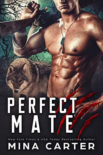 Book Cover Perfect Mate (Project Rebellion Book 1)