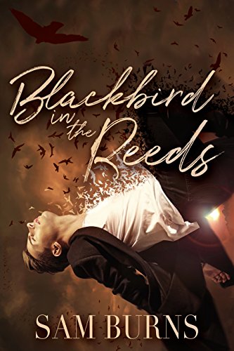 Book Cover Blackbird in the Reeds (The Rowan Harbor Cycle Book 1)