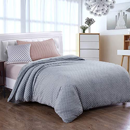 Book Cover Royhom Duvet Cover for Weighted Blankets 48 x 72 Inches - Removable Weighted Blanket Cover - Soft Minky Dot, Gray