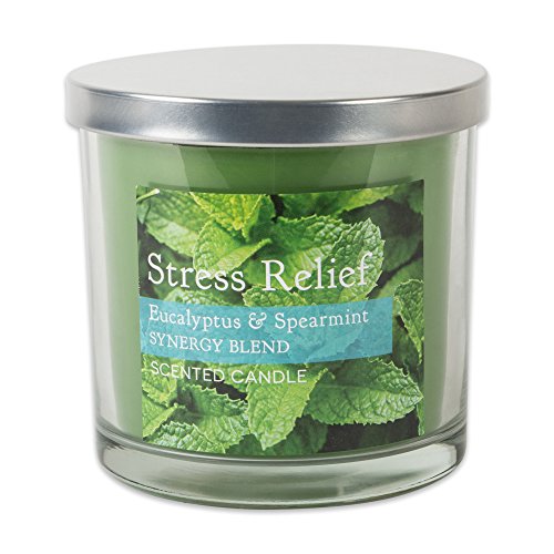 DII Home Traditions 3-Wick Evenly Burning Highly Scented 4x4 Large Jar Candle 45+ Hour Burn Time (14.5 oz) - Eucalyptus and Spearmint Scent
