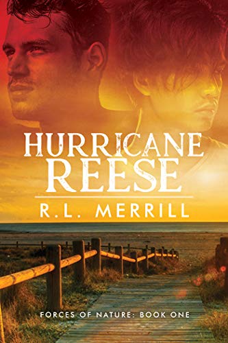 Book Cover Hurricane Reese (Forces of Nature Book 1)