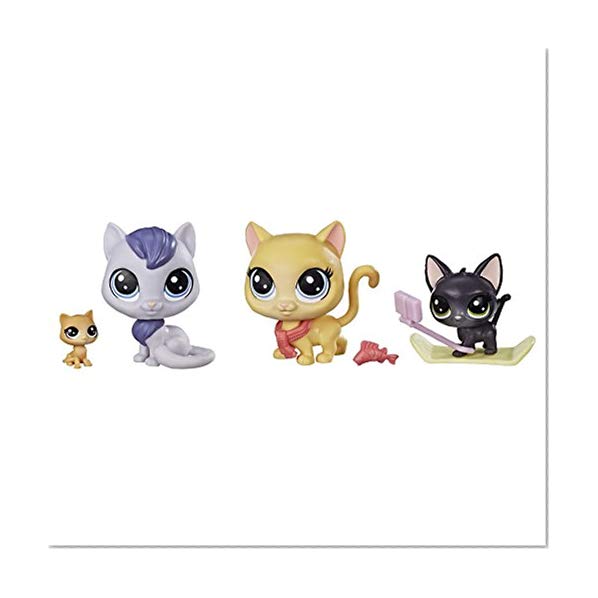 Littlest Petshop - E1014 - Snowboarding Kitty Crew