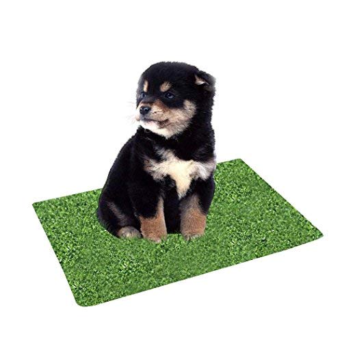 Kwan Artificial Grass Turf Training Pad Replacement for Pet Potty Toilet Trainer for Puppy Dog Pee Indoor Home (Large)