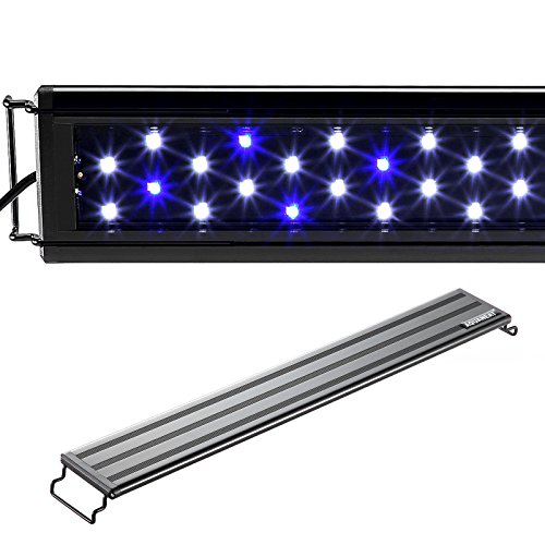 AQUANEAT 12" LED Aquarium Light Fish Tank Light Marine FOWLR White and Blue