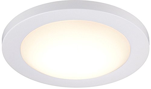 CLOUDY BAY 12 inch LED Flush Mount Ceiling Light,5000K Day Light Dimmable 17W 1100lm -120W Incandescent Equivalent,White Finish
