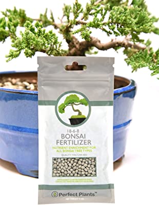 Bonsai Fertilizer Pellets by Perfect Plants - 5 Year Supply - All Natural Slow Release - Extended Enrichment for All Live Bonsai Tree Types