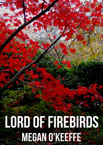 Book Cover Lord of Firebirds (Irish Edition)