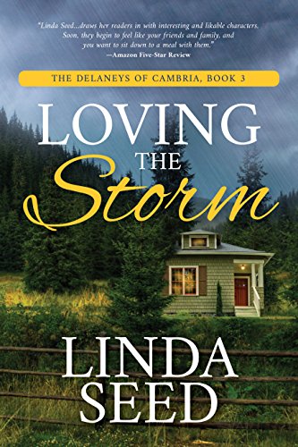 Book Cover Loving the Storm (The Delaneys of Cambria Book 3)