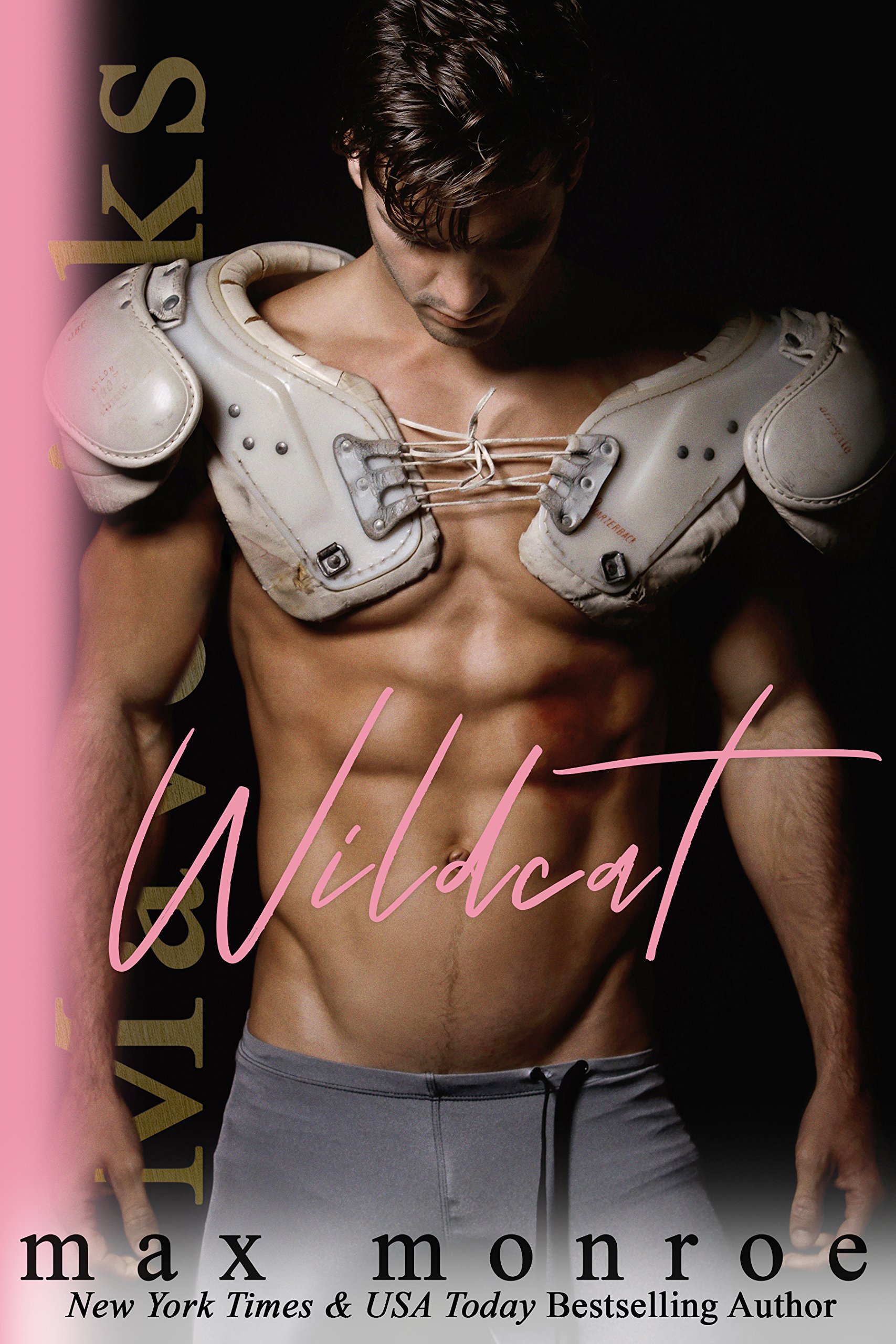 Book Cover Wildcat (Mavericks Tackle Love Book 1)