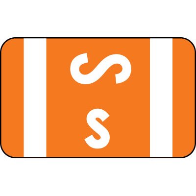 AMZfiling Alphabetic Color Code Labels, Compatible with Smead ACCS- Letter S, Orange (250/Roll)