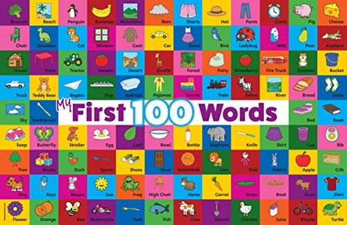 My 100 First Words LAMINATED Poster (18 x 24)
