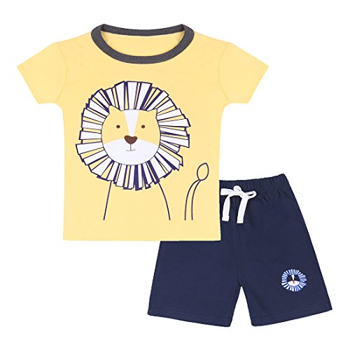 Neeseelily Baby Boy Short Sleeve T-Shirts and Shorts 2pcs Set Clothes