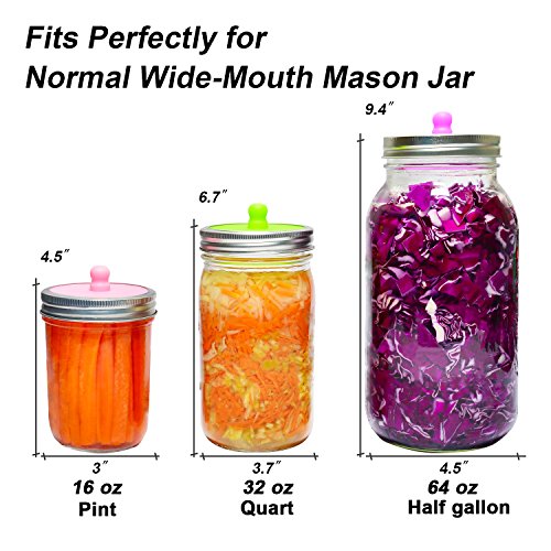 Book Cover 6-Pack Waterless Airlock Fermentation Lids for Wide Mouth Mason Jars, Mold Free, Food-Grade Silicone Easy Fermenting Lids for Sauerkraut, Kimchi, Pickles or Any Fermented Probiotic Food (3 Colors)