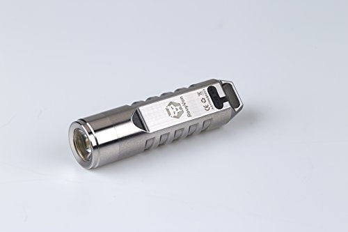 550 Lumens CREE XP-G3 S5LED Mini Keychain Rechargeable Flashlight With Built-In 130mAh Polymer Li-ion Battery Model A2, RovyVon (Silver)